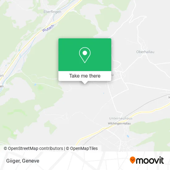 Giiger map