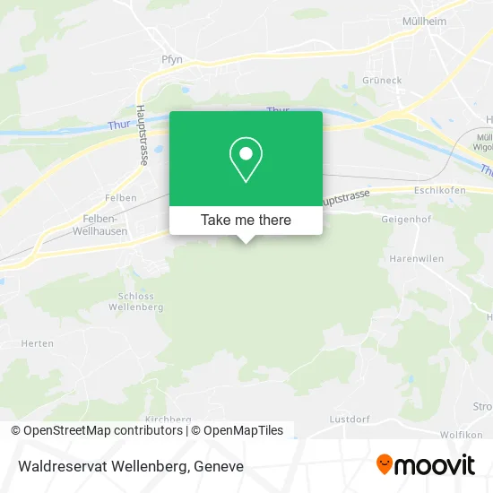 Waldreservat Wellenberg map