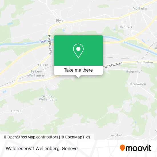 Waldreservat Wellenberg map