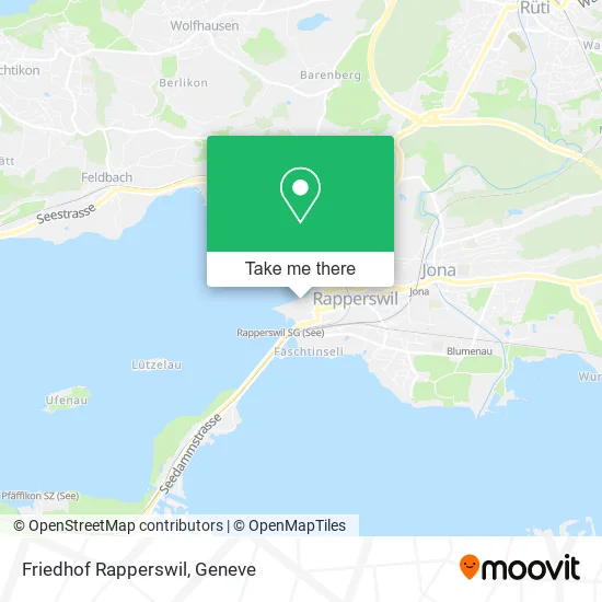 Friedhof Rapperswil map