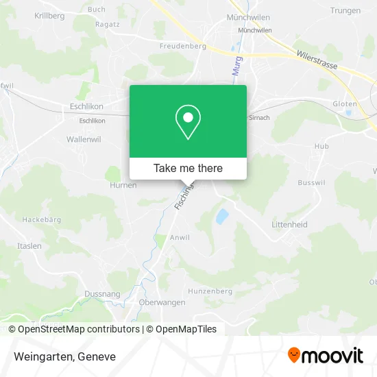 Weingarten map