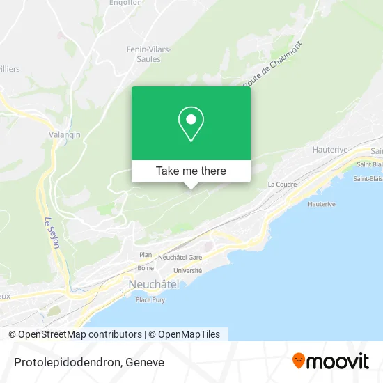 Protolepidodendron map