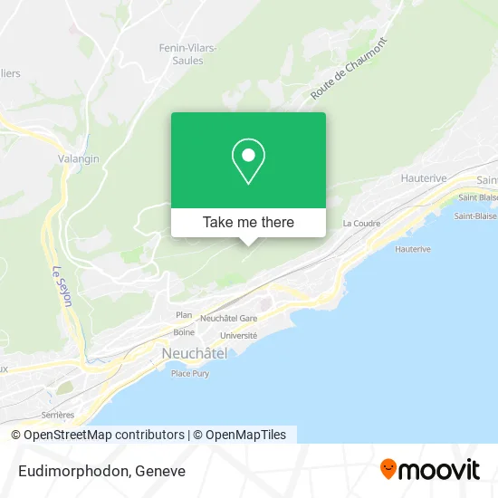 Eudimorphodon map