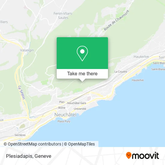 Plesiadapis plan