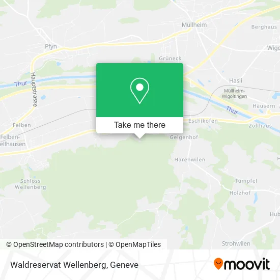 Waldreservat Wellenberg map