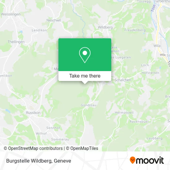 Burgstelle Wildberg map