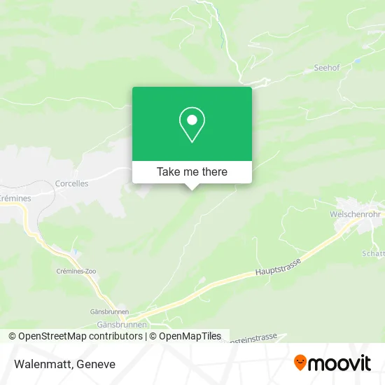 Walenmatt plan