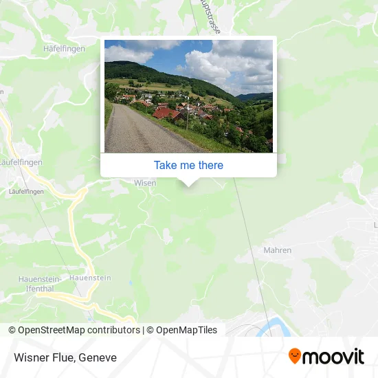 Wisner Flue map
