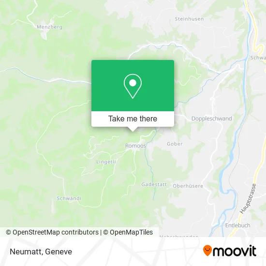 Neumatt map