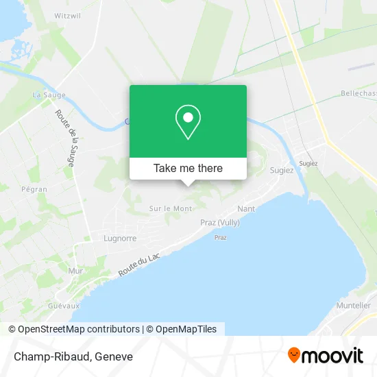 Champ-Ribaud map