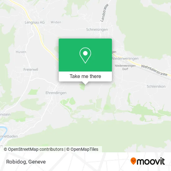 Robidog plan