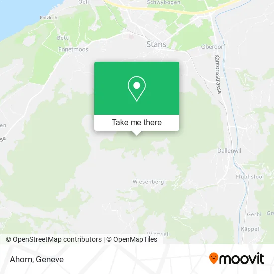 Ahorn map