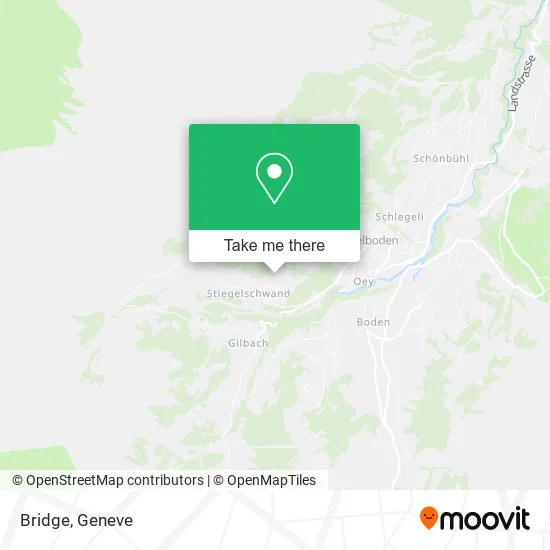 Bridge map