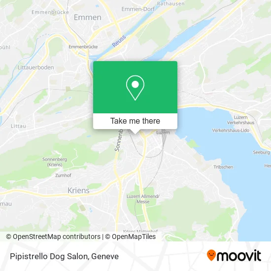 Pipistrello Dog Salon map