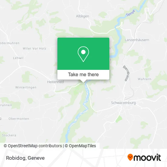 Robidog plan