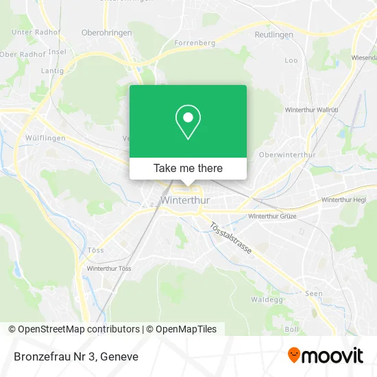 Bronzefrau Nr 3 map