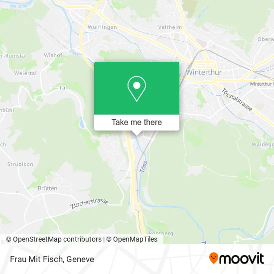 Frau Mit Fisch map