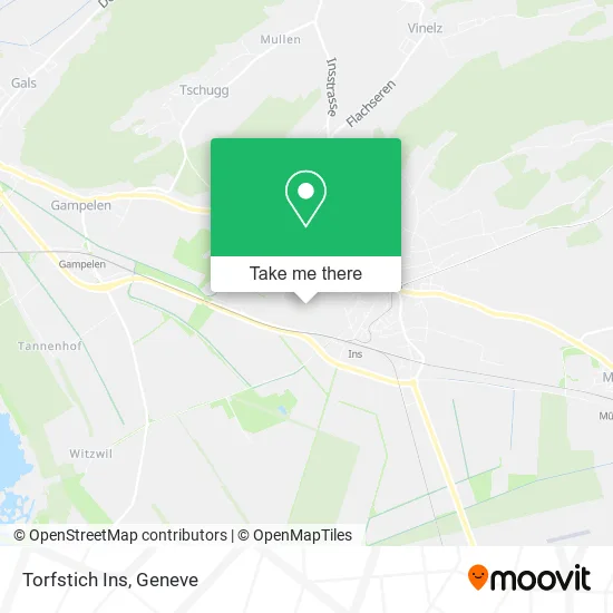 Torfstich Ins map