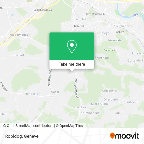 Robidog plan