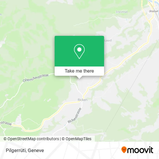 Pilgerrüti plan