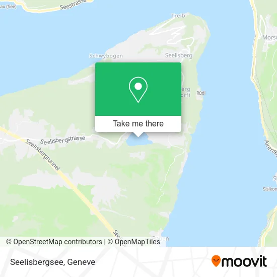 Seelisbergsee map