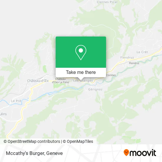 Mccathy's Burger plan