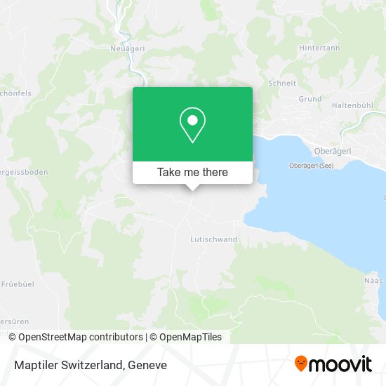 Maptiler Switzerland map
