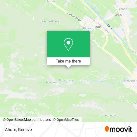 Ahorn map