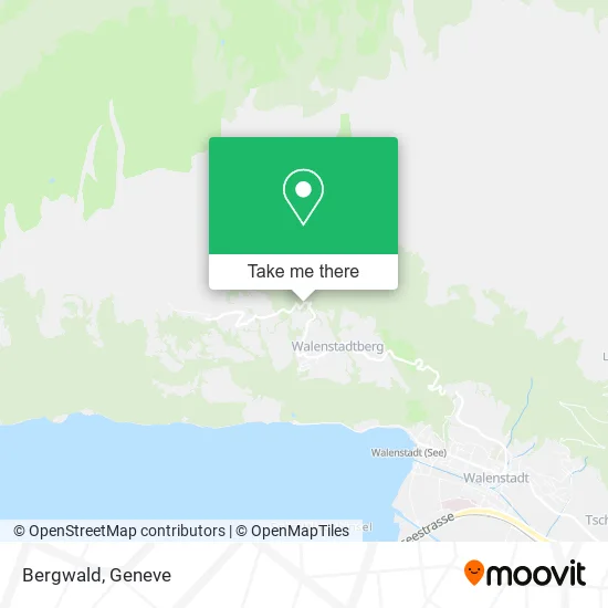 Bergwald map