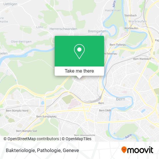 Bakteriologie, Pathologie map