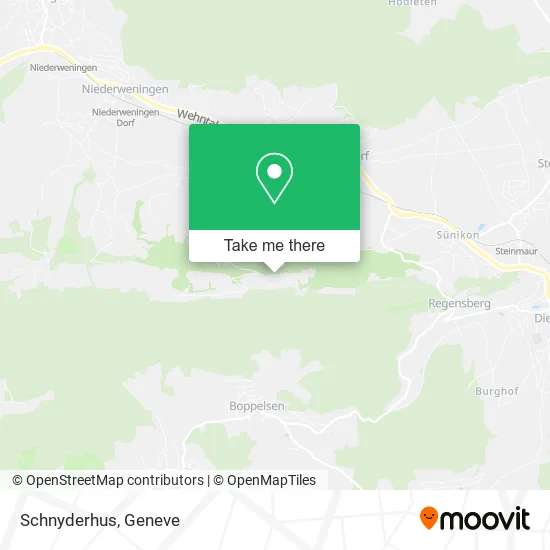 Schnyderhus map