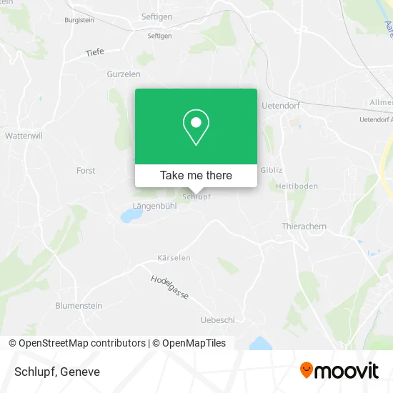 Schlupf map