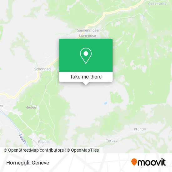Horneggli plan