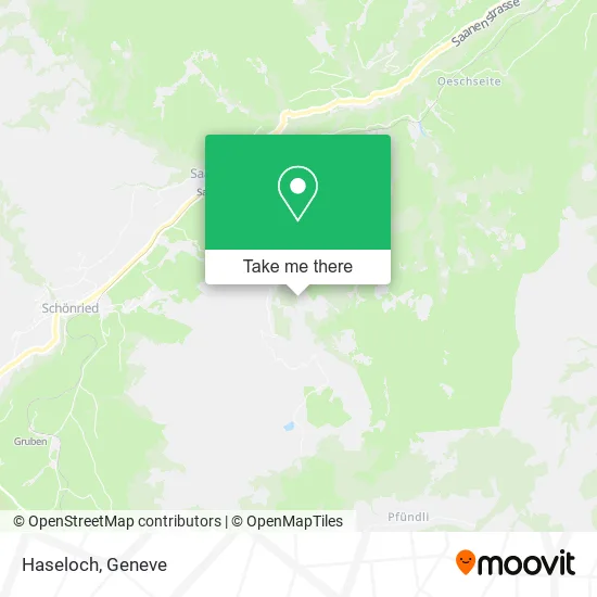 Haseloch map