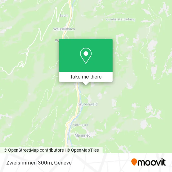 Zweisimmen 300m map