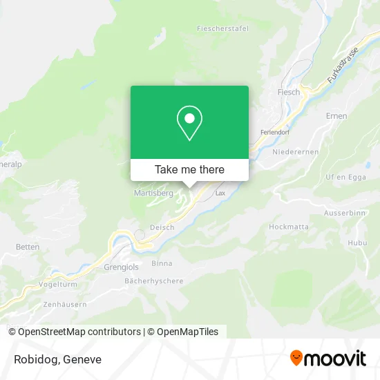 Robidog plan