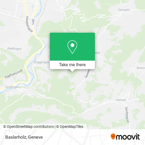 Baslerholz map