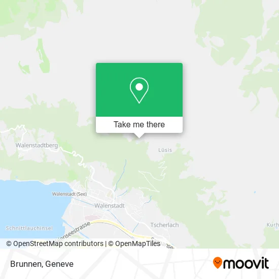 Brunnen map