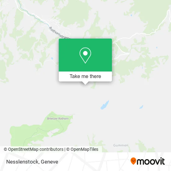 Nesslenstock map
