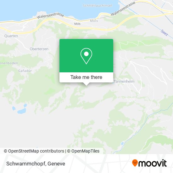 Schwammchopf map