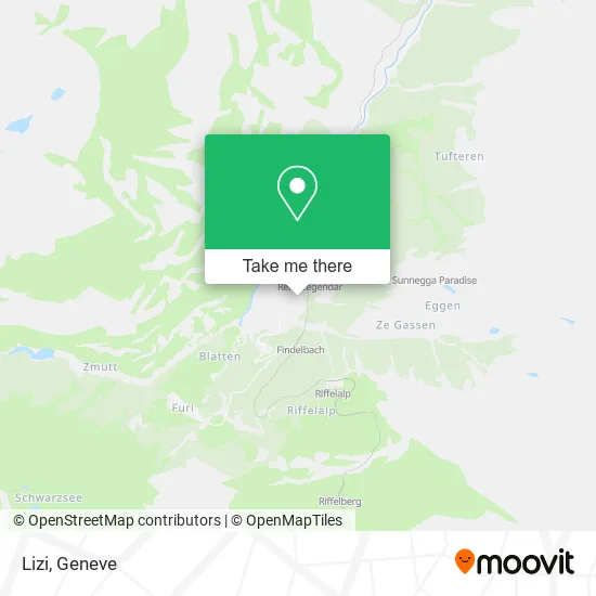 Lizi plan
