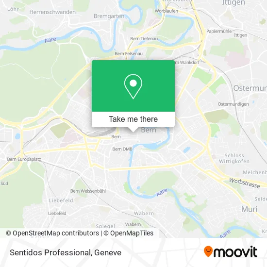 Sentidos Professional plan