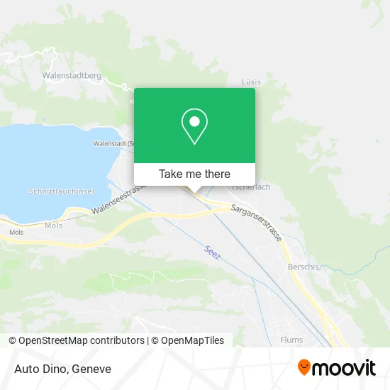 Auto Dino plan