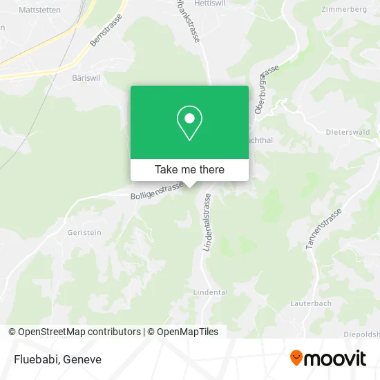 Fluebabi map