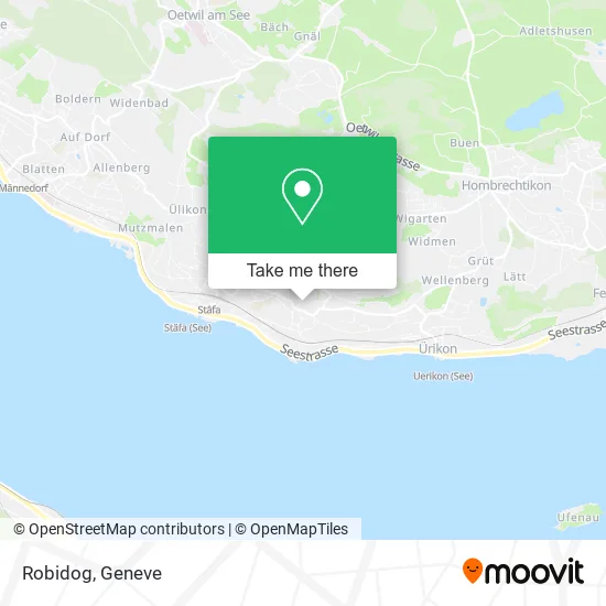 Robidog plan