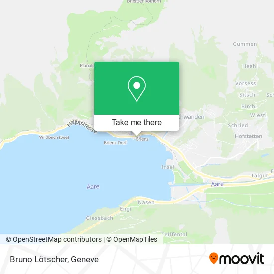 Bruno Lötscher plan
