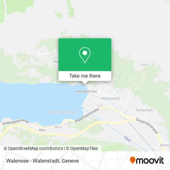 Walensee - Walenstadt map