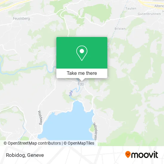 Robidog plan