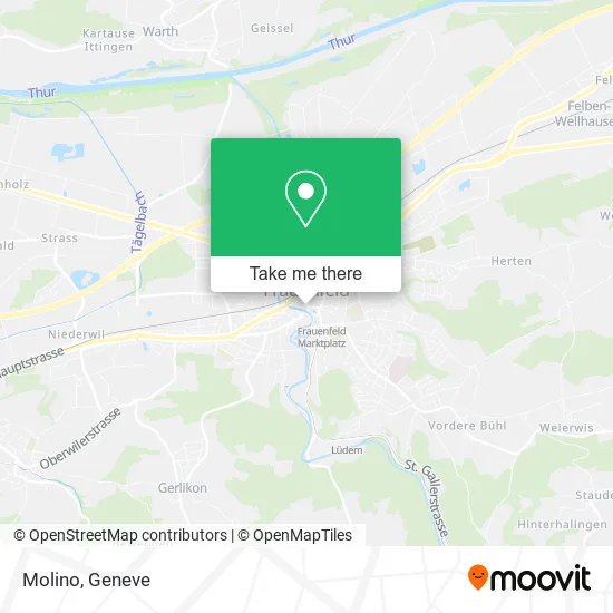 Molino plan