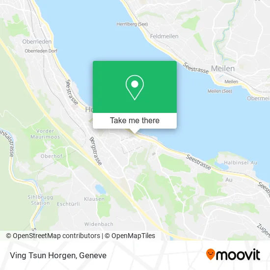 Ving Tsun Horgen map
